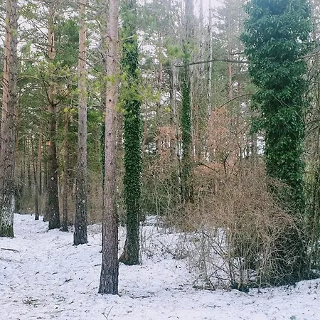 アパート Atico Abi ビリャヌア